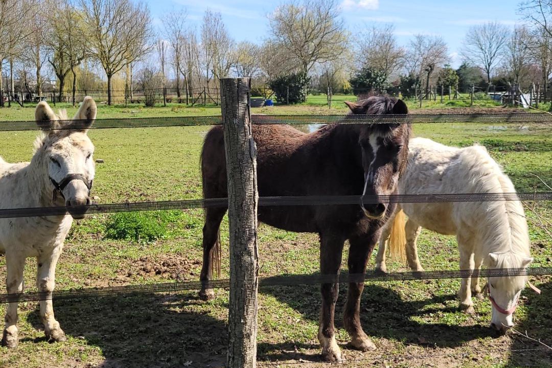 Photo of Others in La Poueze