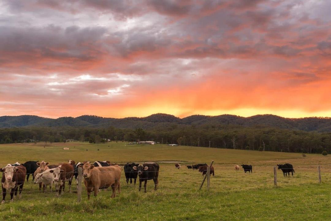 Photo of Others in Markwell