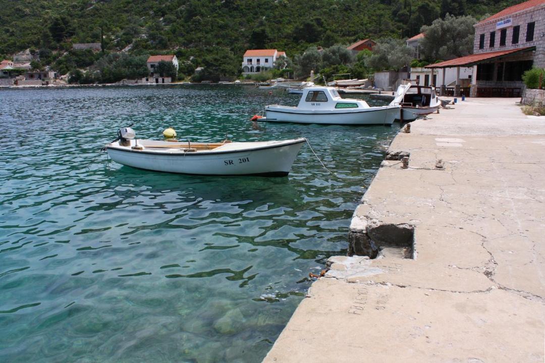 Photo of Others in Prozurska Luka