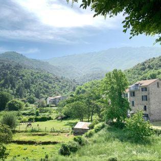 Photo of Others in Cozzano