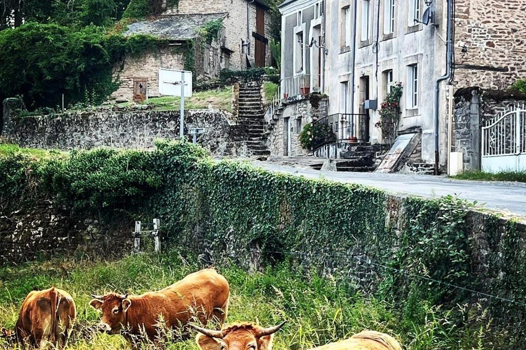 Photo of Others in Bersac-sur-Rivalier