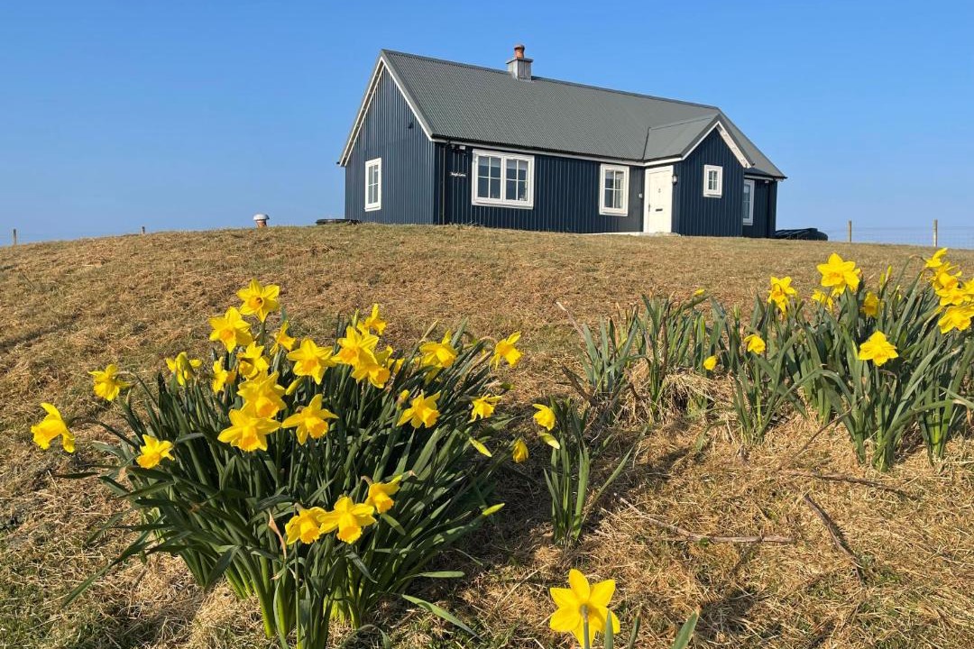 Photo of Others in Baleshare