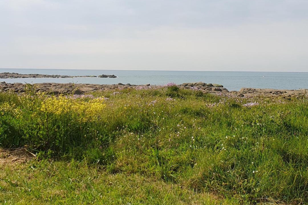 Photo of Others in Gatteville-le-Phare