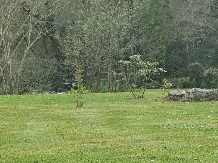 Photo of Others in Louvie Juzon