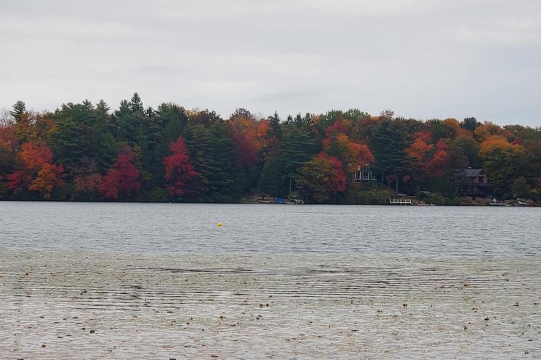 Photo of Others in Lake Harmony