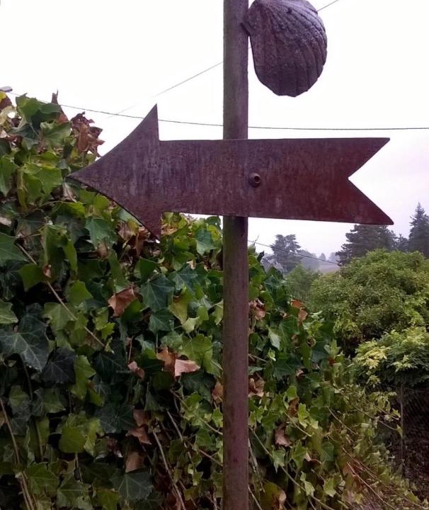 Photo of Others in Saint-Avit-Senieur