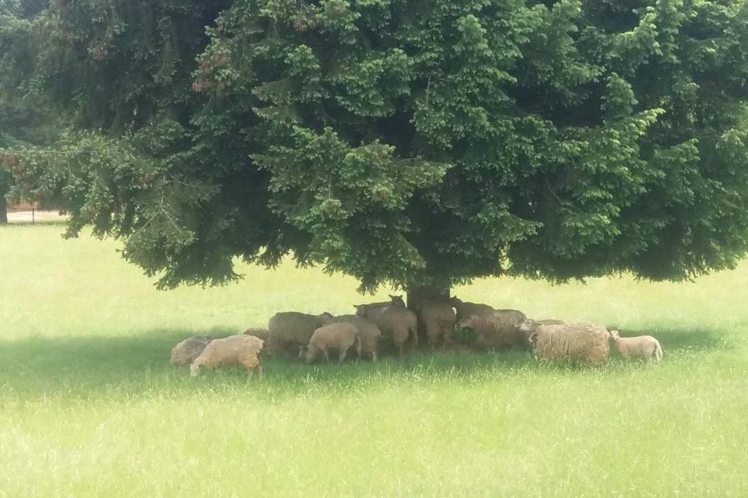 Photo of Others in Saint-Avit-Senieur