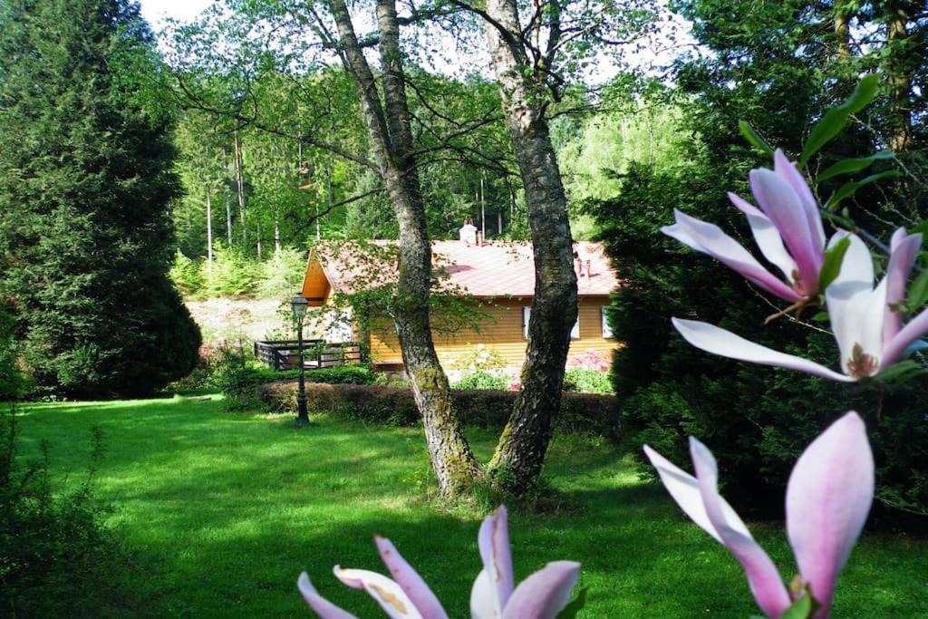 Photo of Others in Saint-Quirin