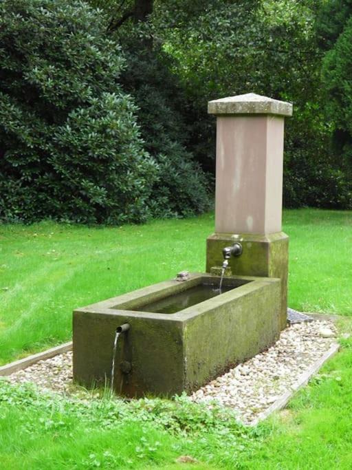 Photo of Others in Saint-Quirin