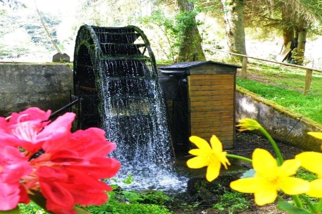 Photo of Others in Saint-Quirin