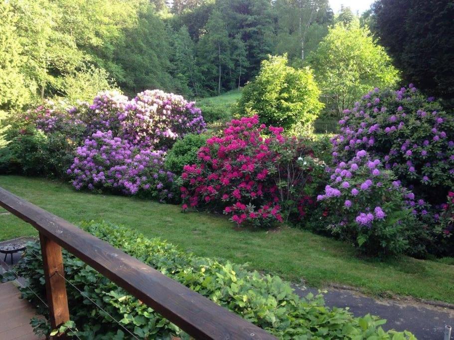 Photo of Others in Saint-Quirin