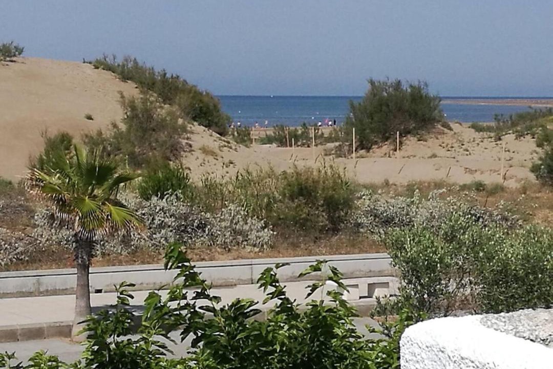Photo of Others in Riumar