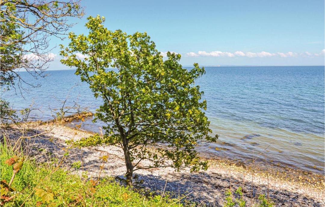 Photo of Others in Asserballeskov