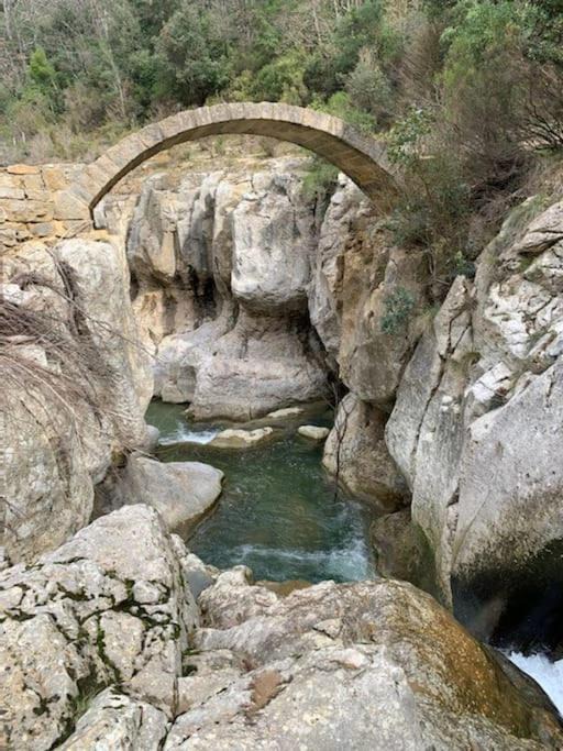 Photo of Others in Bugarach