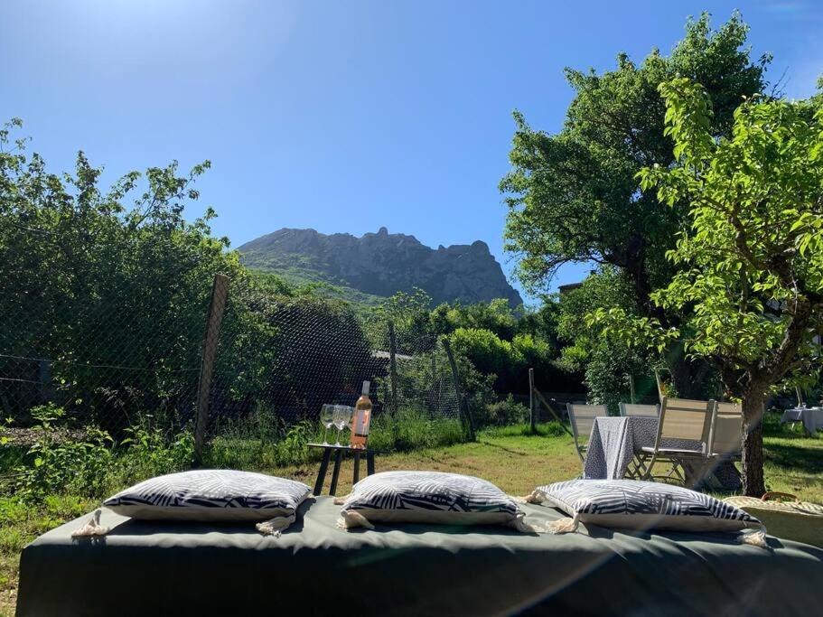 Photo of Others in Bugarach