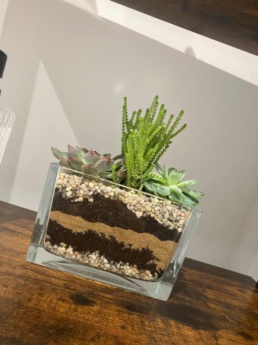 Photo of Others in Spalding