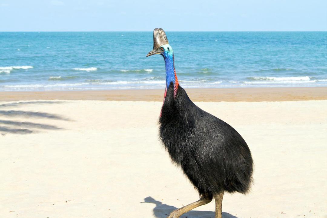 Photo of Others in Mission Beach