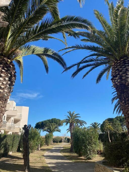 Photo of Others in Saint-Cyprien Plage