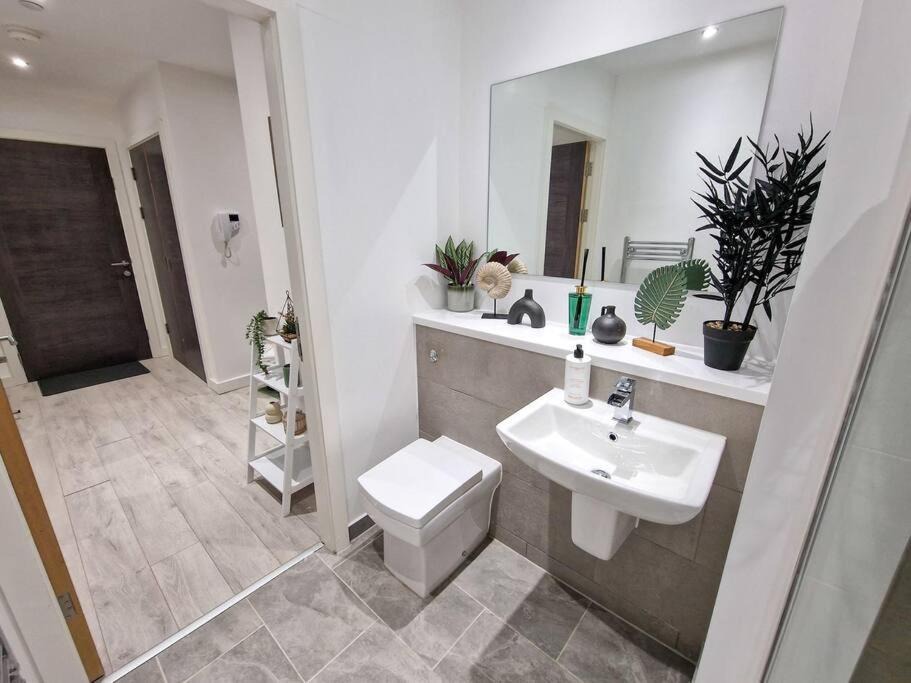 Photo of Others in Baltic Triangle