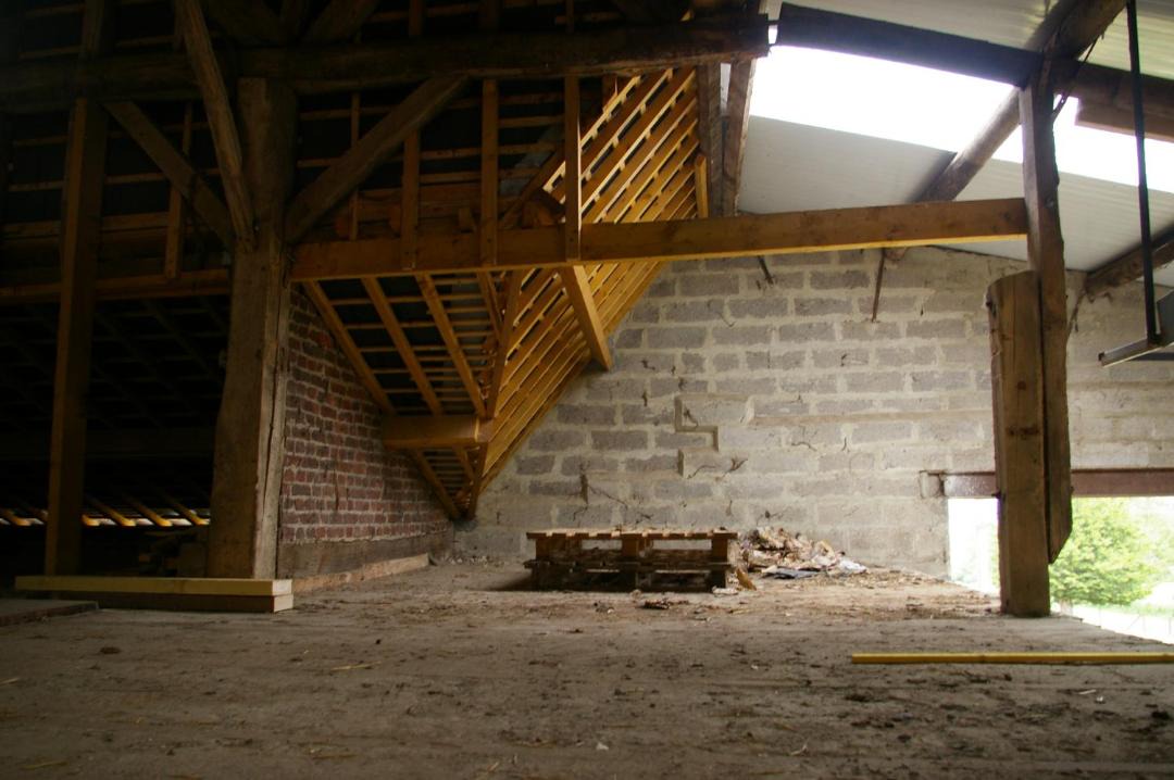 Photo of Others in Feron