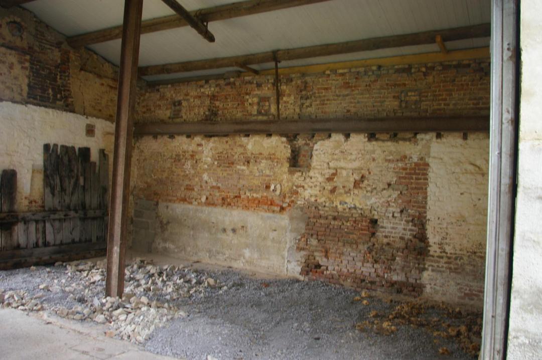 Photo of Others in Feron