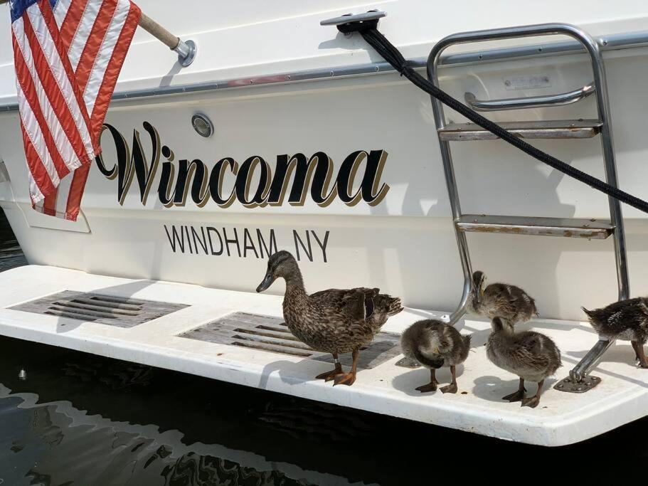 Photo of Others in Catskill