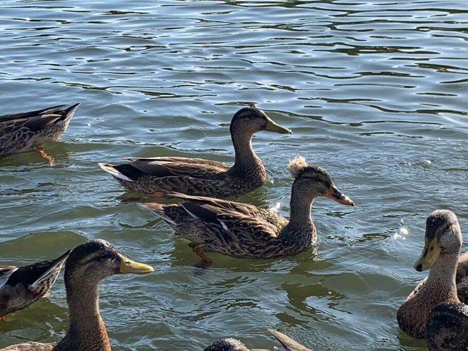 Photo of Others in Catskill