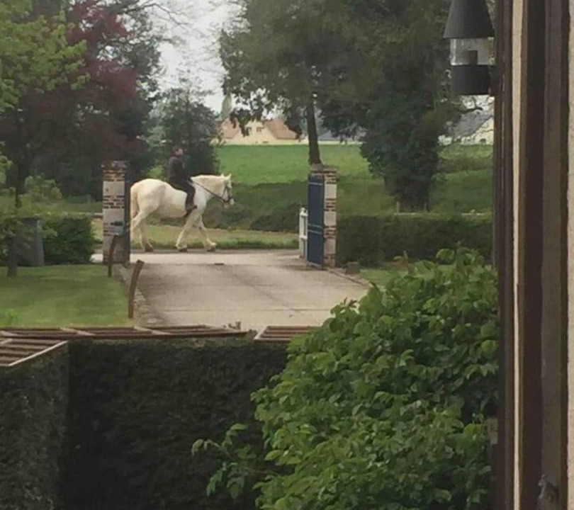 Photo of Others in Le Bosc du Theil