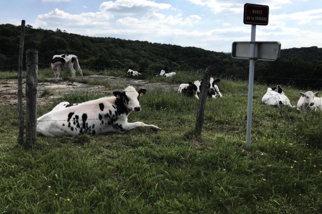 Photo of Others in Saint-Merd-de-Lapleau