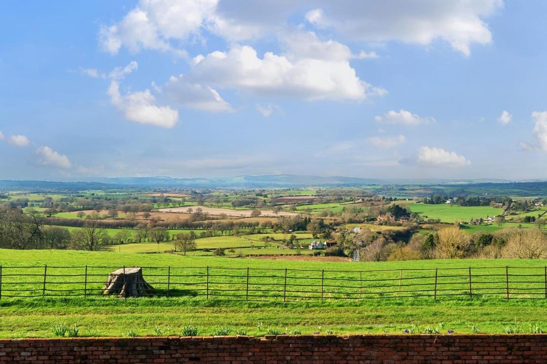 Photo of Others in Tenbury Wells
