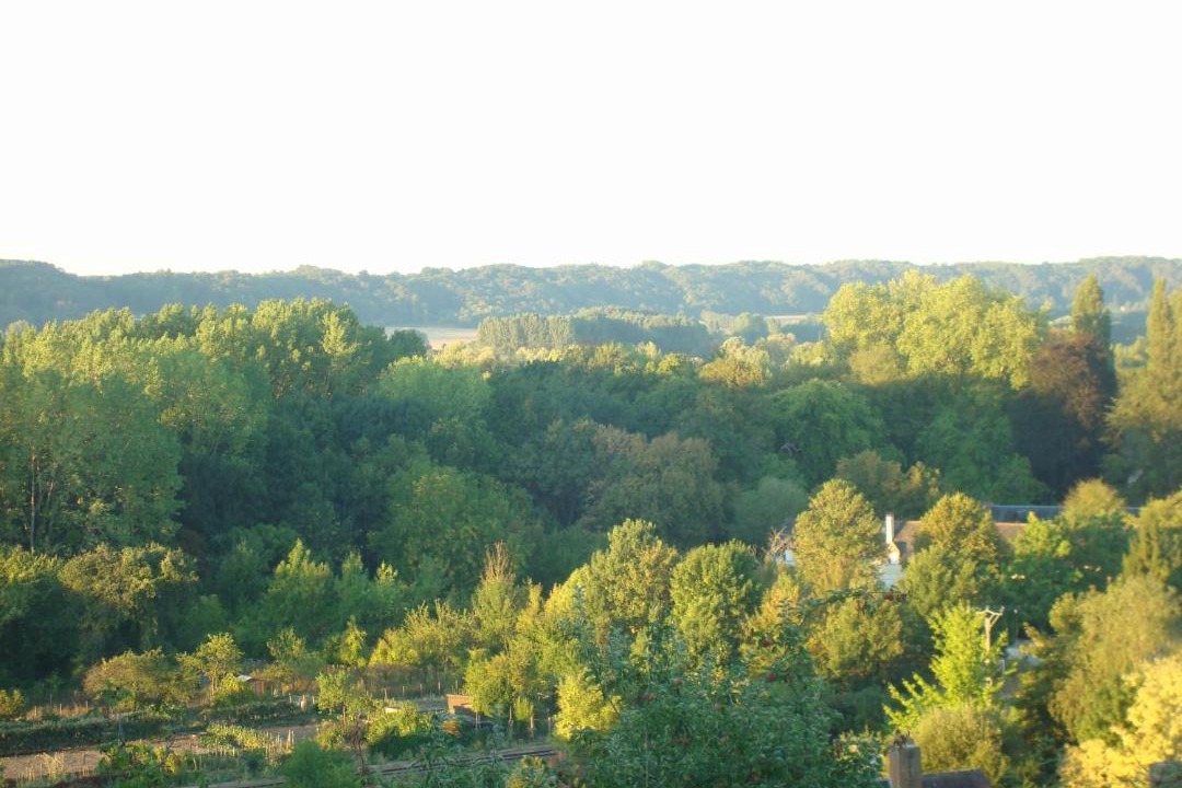 Photo of Others in Ponce sur Le Loir