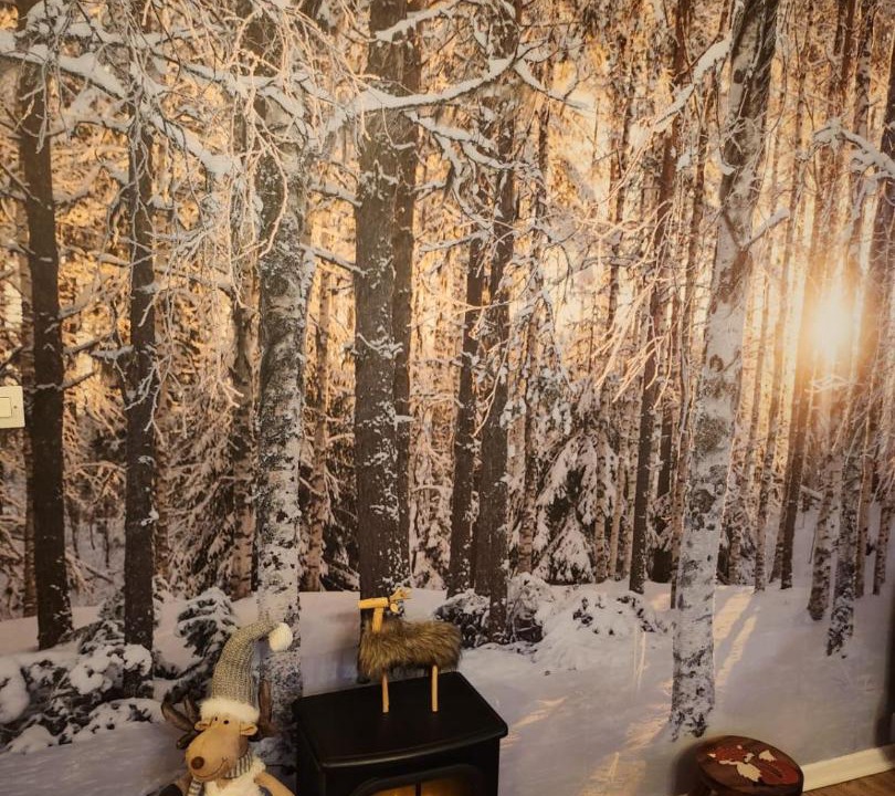 Photo of Others in Greolieres les Neiges