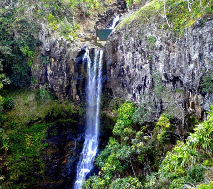 Photo of Others in Haiku