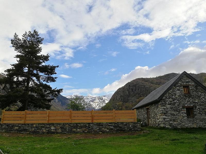 Photo of Others in Gedre