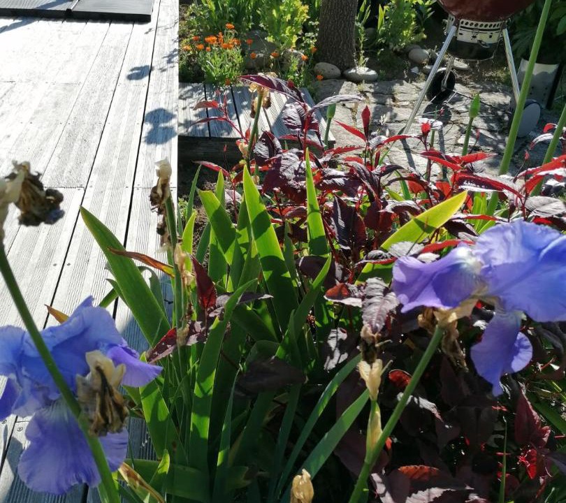 Photo of Others in Esquibien