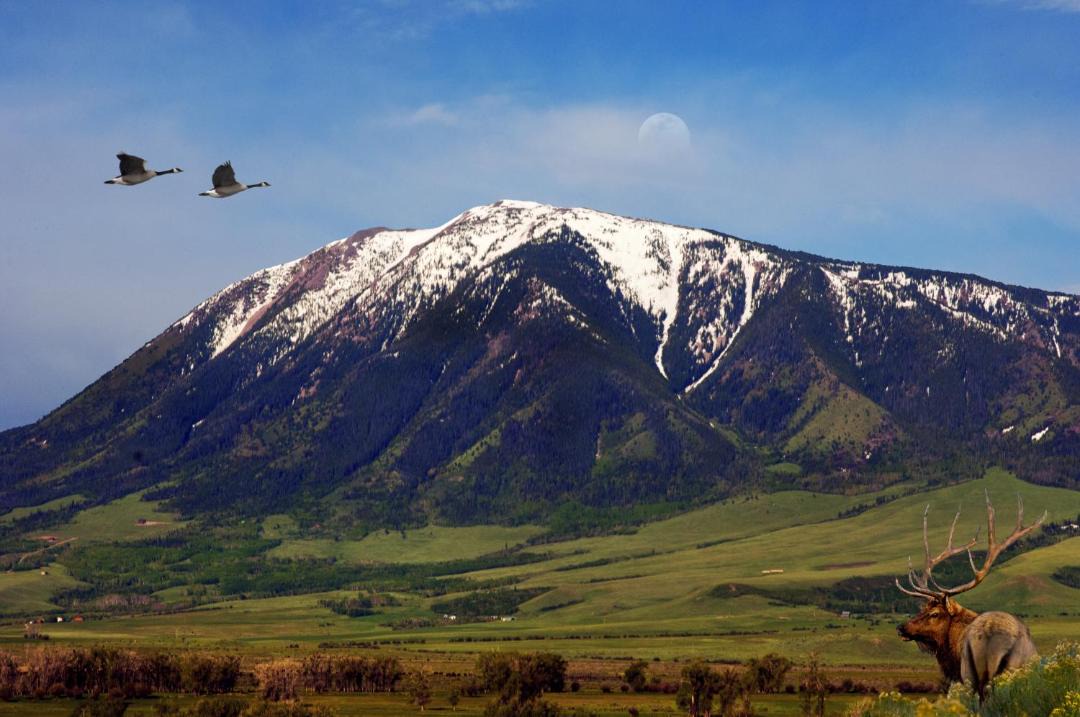 Photo of Outdoor in Elk Mountain