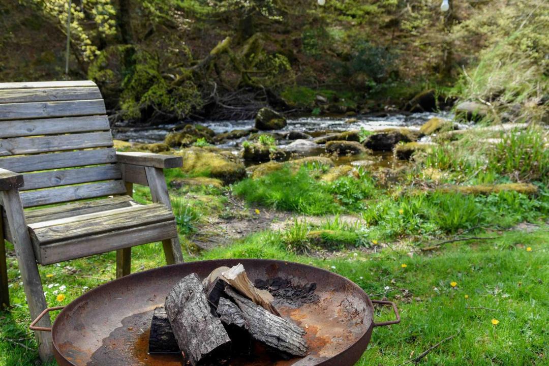 Photo of Others in Dartmeet