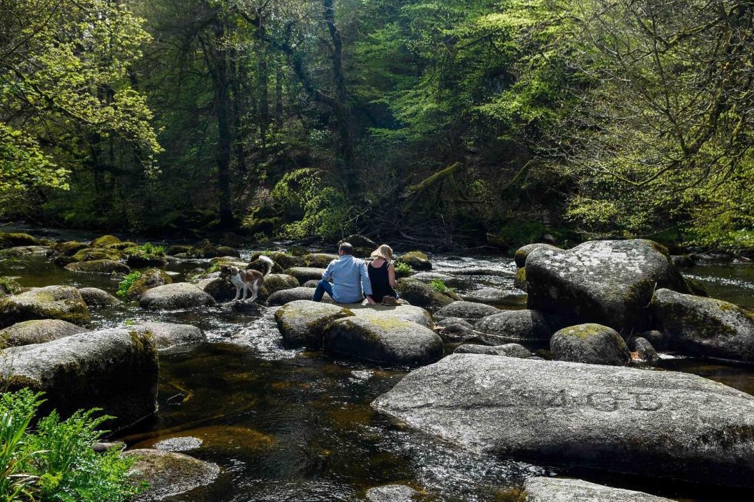 Photo of Others in Dartmeet