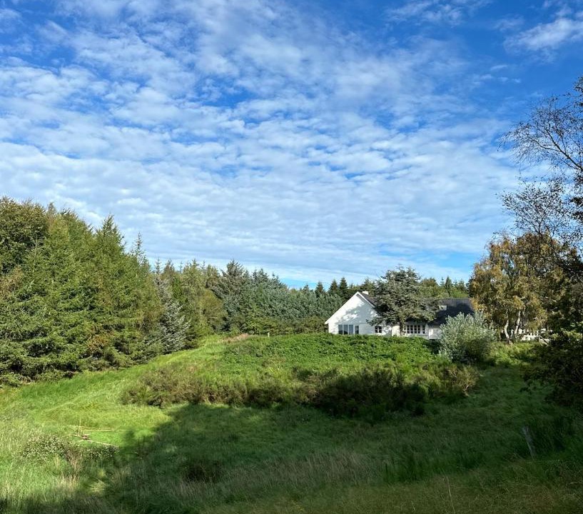 Photo of Others in Hjørring