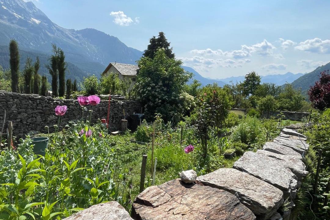 Photo of Others in Bregaglia