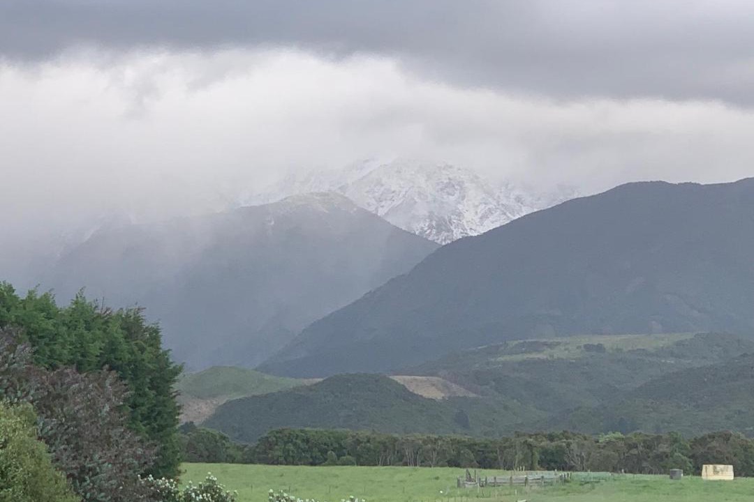 Photo of Others in Hapuku