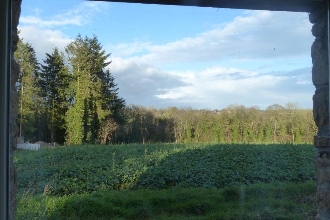 Photo of Others in Bringolo