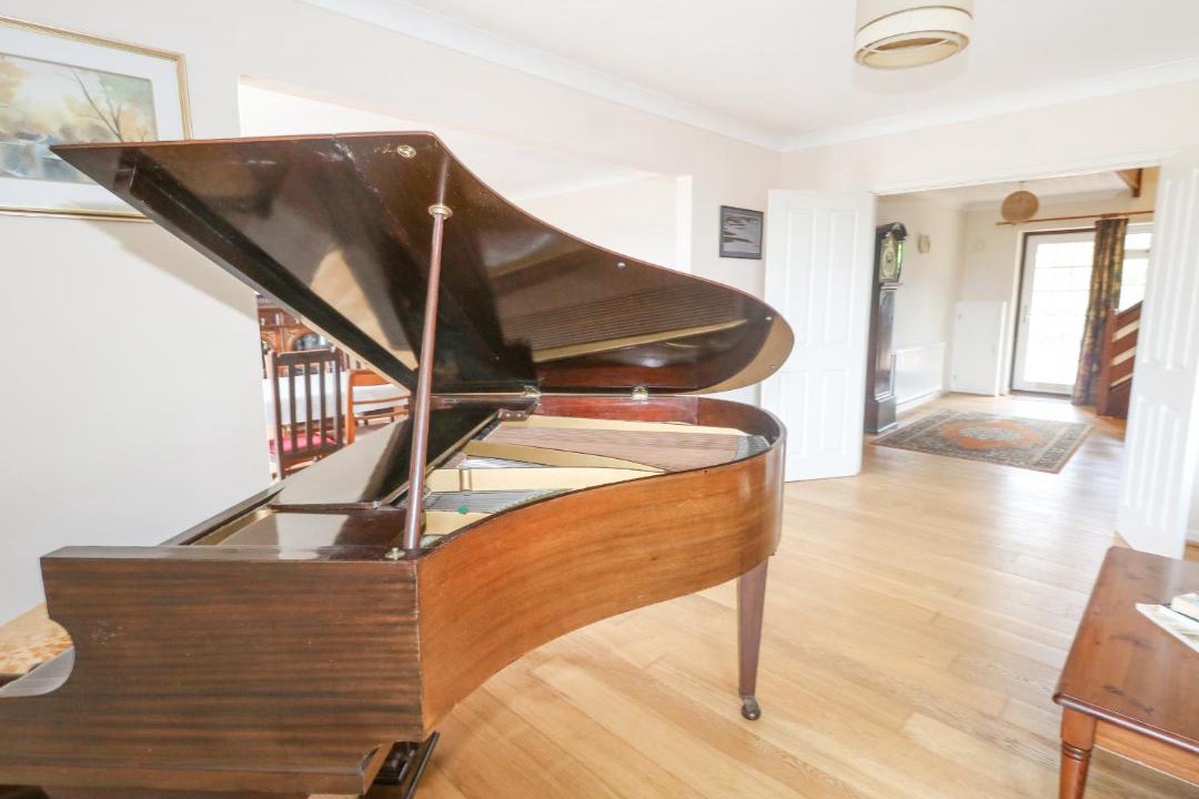 Photo of Others in Dorchester