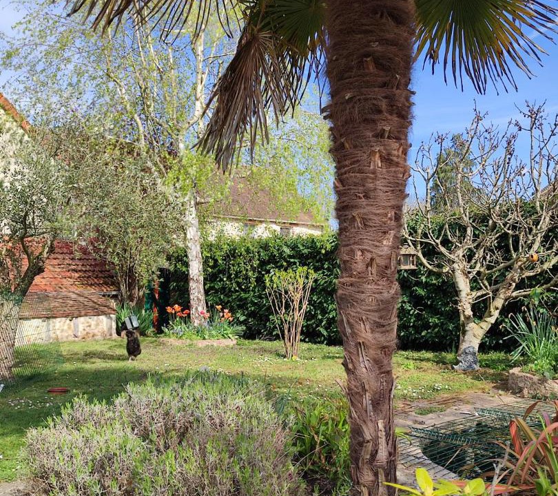 Photo of Others in Magny-les-Hameaux