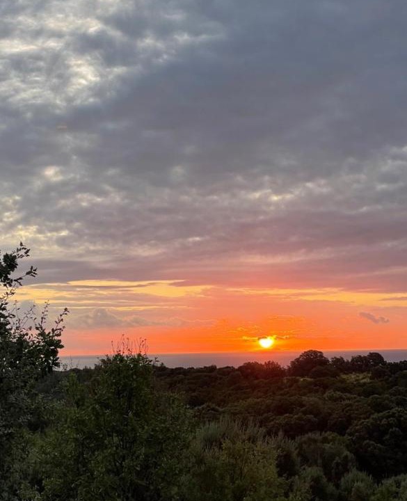 Photo of Outdoor in San-Giuliano