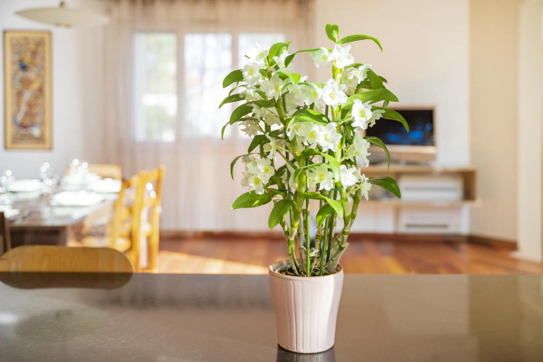 Photo of Others in Capbreton