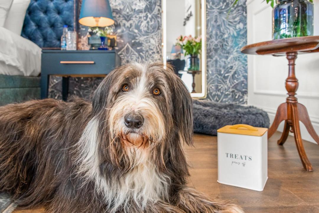 Photo of Others in Kenn