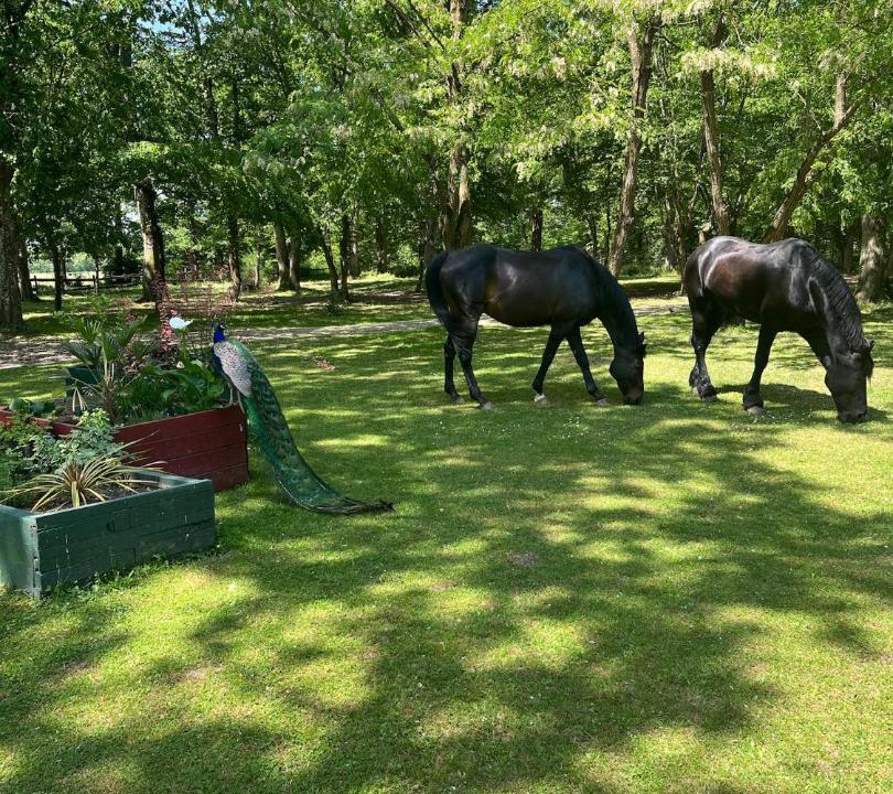 Photo of Others in Saint-Florent-sur-Cher