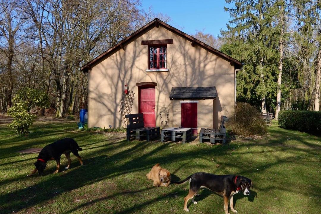 Photo of Others in Saint-Florent-sur-Cher