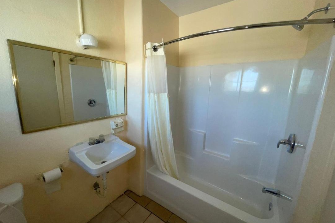 Photo of Others in Alice